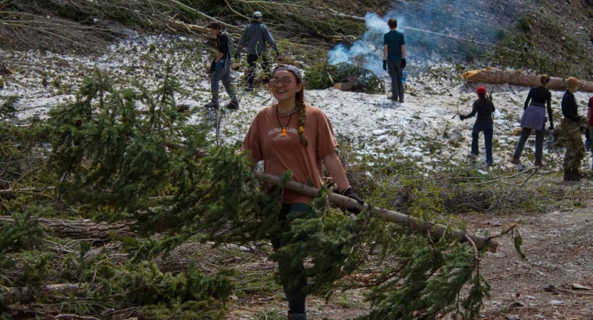 a person carries a large tree branch during a service project with outward bound